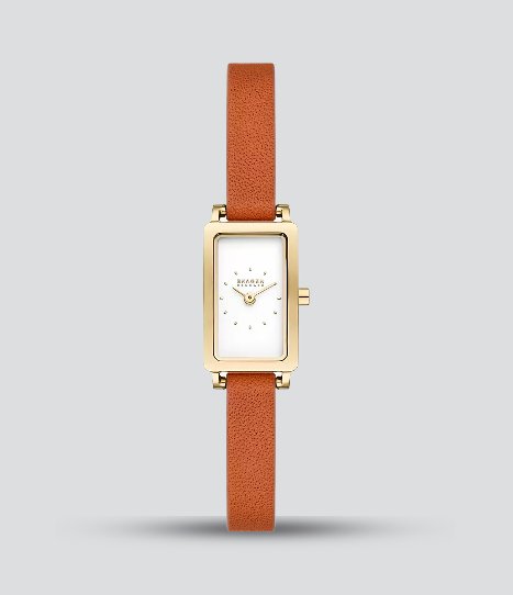 SKAGEN HAGEN MICRO
