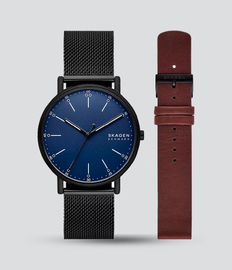 SKAGEN SIGNATUR